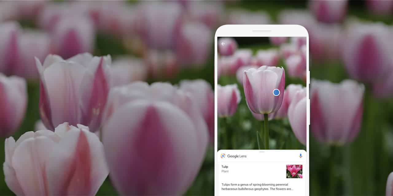 Google Lens Reaches 8 Billion Monthly Searches